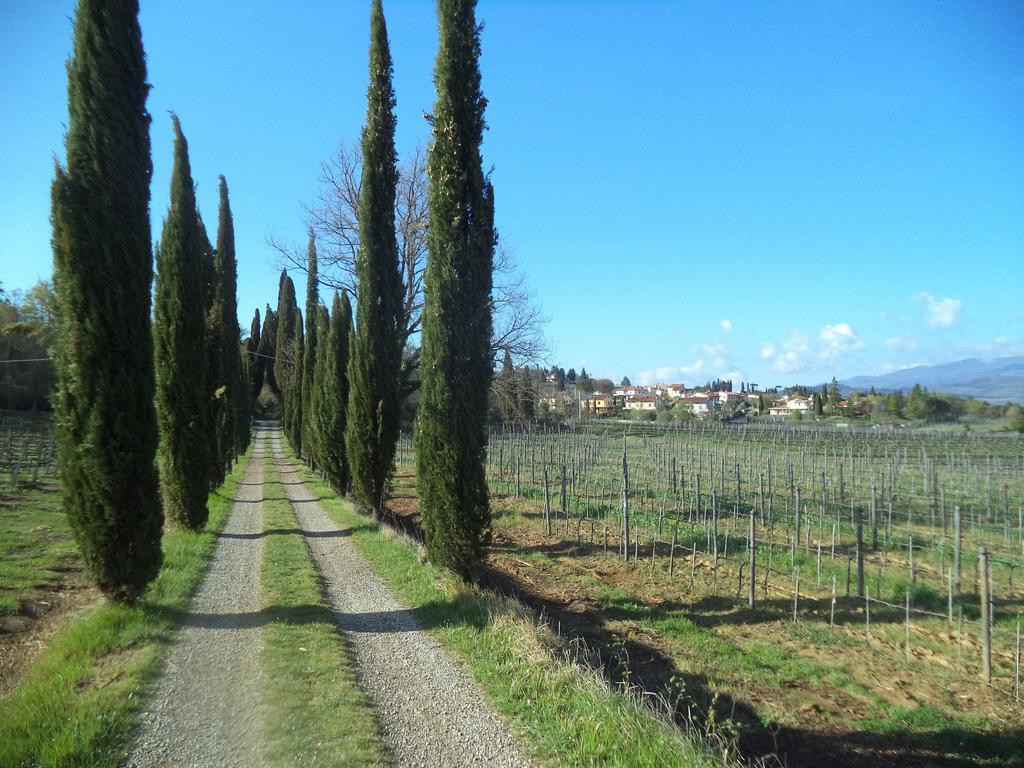 Agriturismo Albergotti Αρέτσο Εξωτερικό φωτογραφία