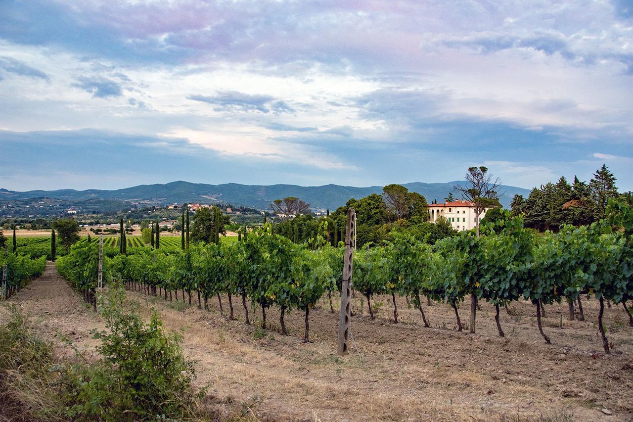 Agriturismo Albergotti Αρέτσο Εξωτερικό φωτογραφία