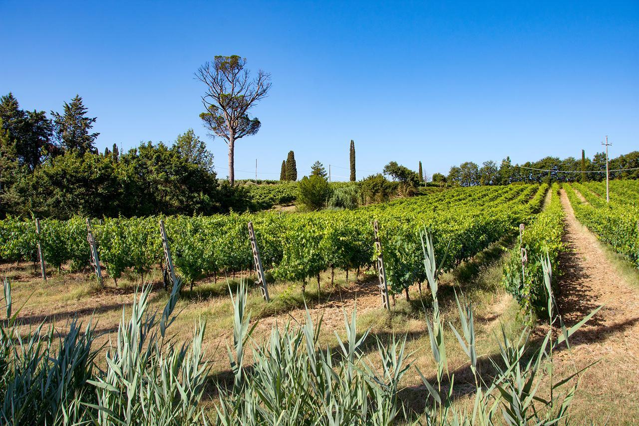 Agriturismo Albergotti Αρέτσο Εξωτερικό φωτογραφία